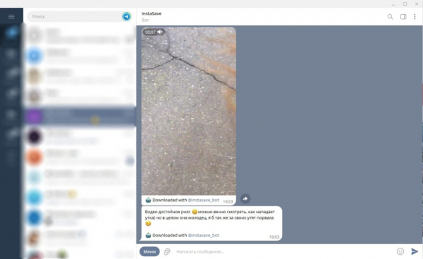 Как сохранить видео из Instagram: лучшие и самые простые способы